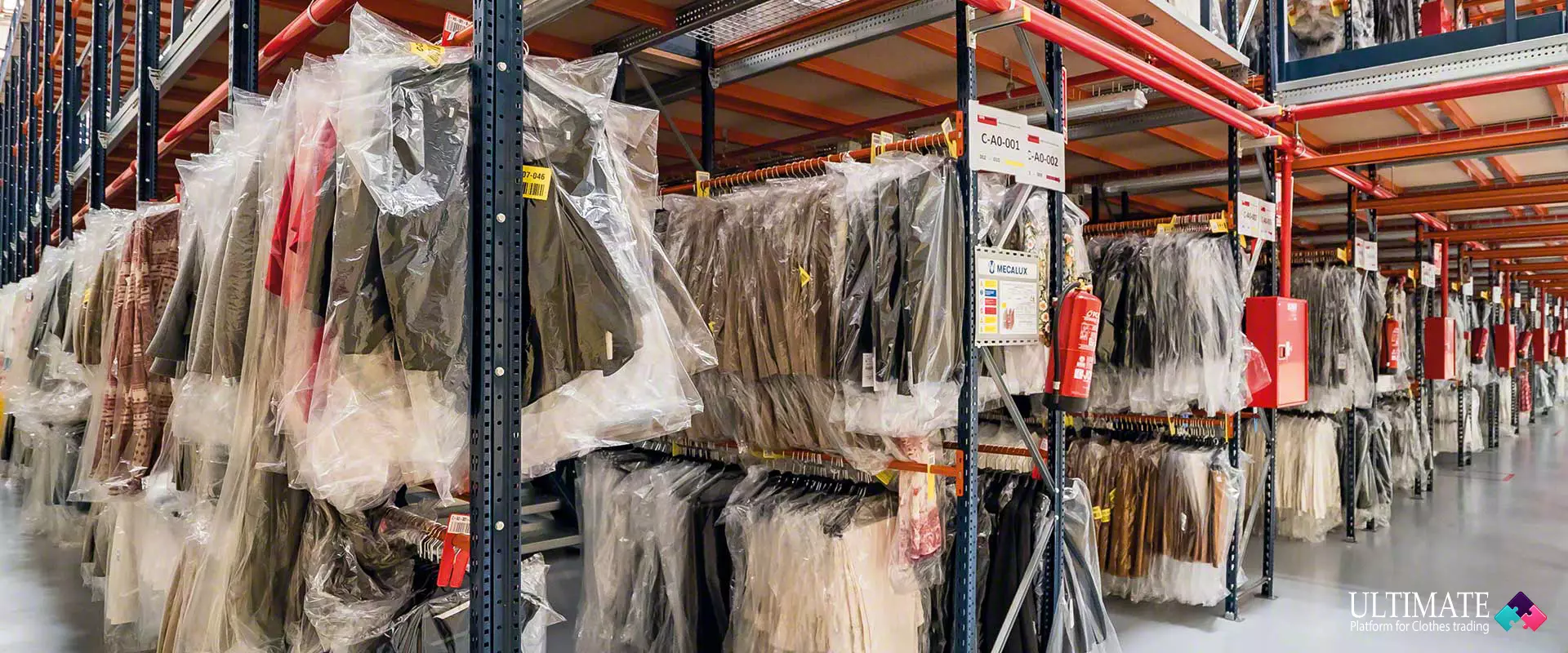 جملة و مفرق